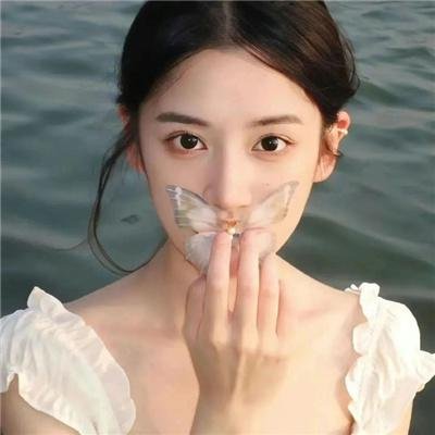泰南拳